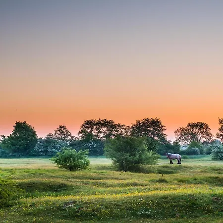 Brembroeken, De Houtendonck Luxury tent Vortum-Mullem
